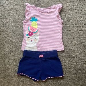 Carter’s Baby Girl Summer Outfit